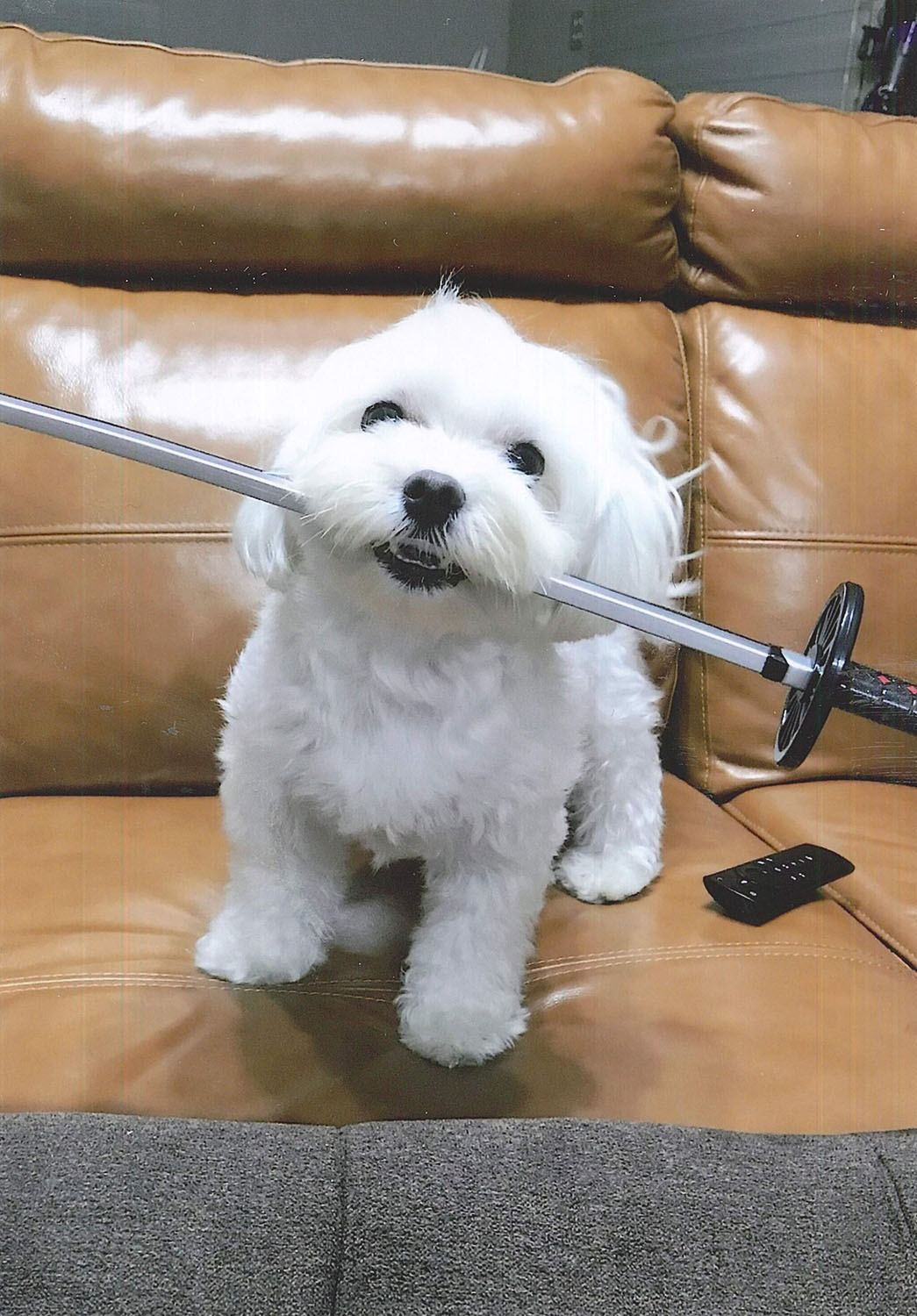 空くん