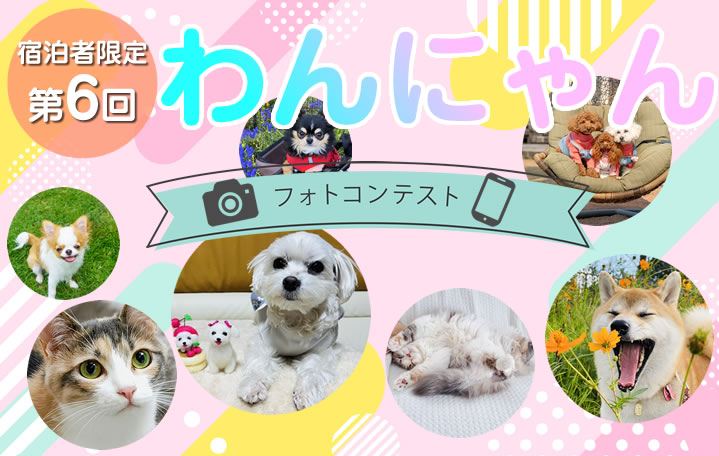 ワンちゃん写真コンテスト