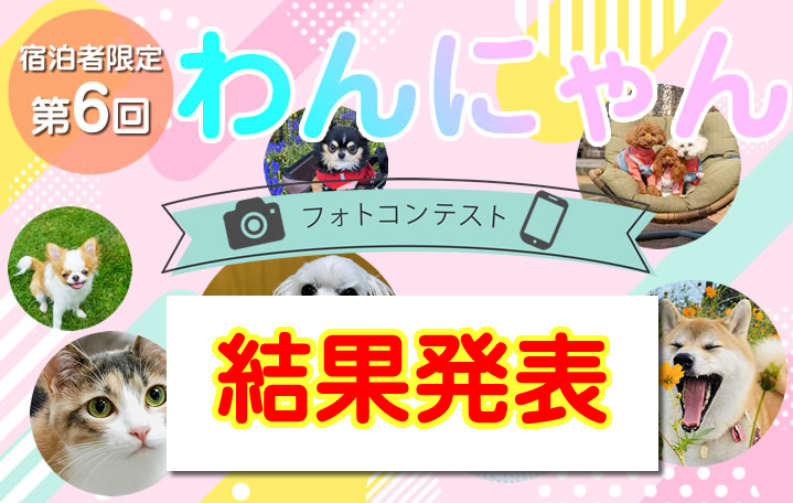 ワンちゃん写真コンテスト結果発表