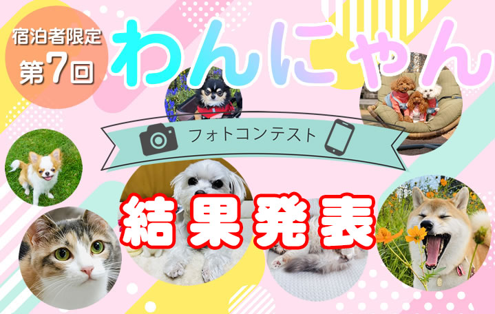 ワンにゃん写真コンテスト結果発表