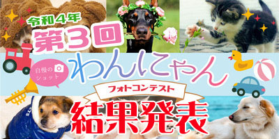 ワンちゃん写真コンテスト結果発表