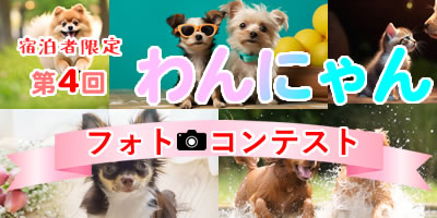 ワンちゃん写真コンテスト結果発表