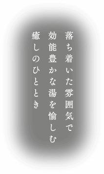 落ち着いた雰囲気で効能豊かな湯を愉しむ癒しのひととき
