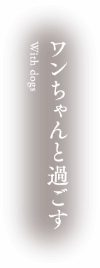 ワンちゃんと過ごす